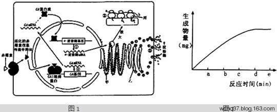 澳门太阳集团官网app下载